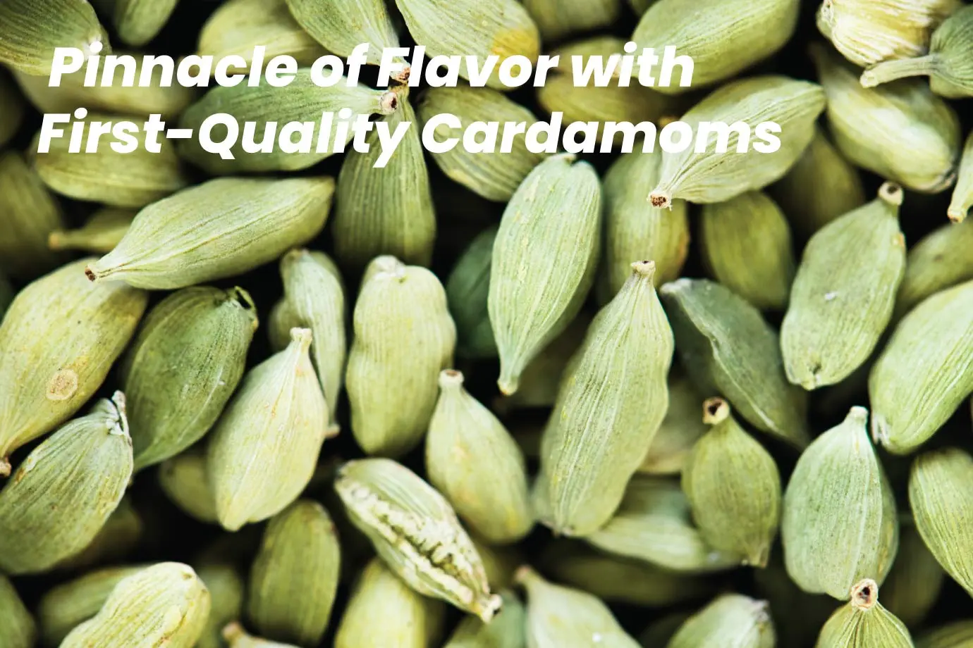 Koko Spices | First Quality Organic Green Cardamom,SAUDI
